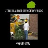 Little Elm Tree Service of Frisco
